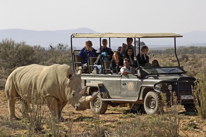 3 Day Luxury Aquila Private Game Reserve - Four game drives: what that means for your odds