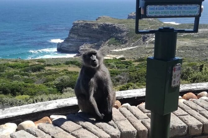 3 Day Private Full Day Cape Town Tour Includes Entries,Peninsula,Wine,City Tour, - Day 2 in Cape Town: Table Mountain, city center, V&A Waterfront, and sunset at Signal Hill