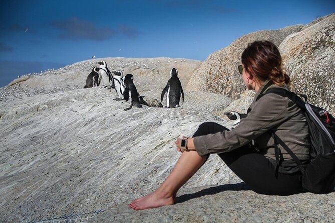 3-Day Private Guided Tour to Cape Town Top Attractions - Getting Around: Private Comfort and a Full, Photo-Friendly Pace