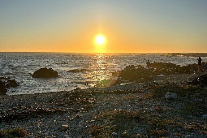 3 Day Safari and Coastal Tour from Cape Town - Day 3 morning game drive and Route 62 wine-country return