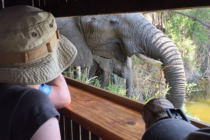 3-Day Tour of Kruger National Park from Skukuza Airport - Key things to know before you go