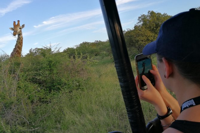 3-Day Tour of Kruger National Park from Skukuza Airport - Day 2 sunrise to sunset in southern Kruger