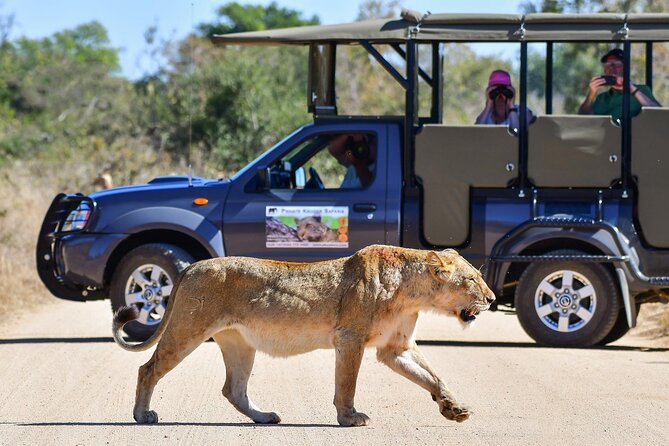 3-Day Tour of Kruger National Park from Skukuza Airport - Wildlife spotting with a guide who reads the clues