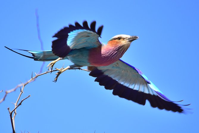 3-Day Tour of Kruger National Park from Skukuza Airport - Price and extra costs: is this good value?