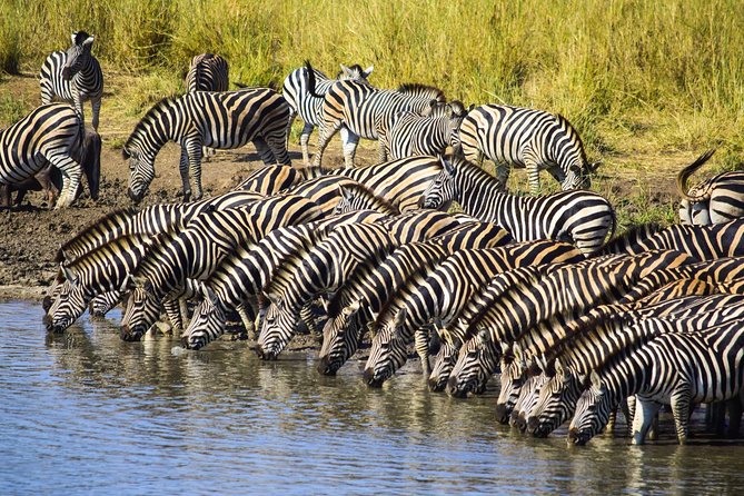 3-Day Tour of Kruger National Park from Skukuza Airport - Who this safari fits best, and who should rethink it