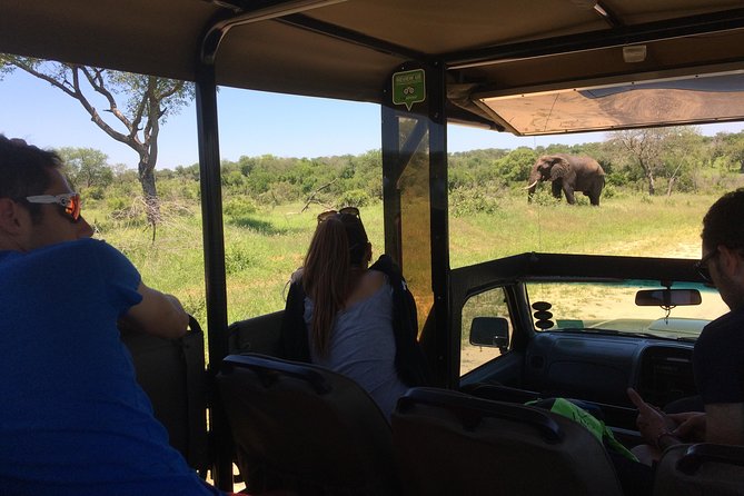3-Day Tour of Kruger National Park from Skukuza Airport - Skukuza Safari Lodge bungalows, breakfast, and free Wi-Fi