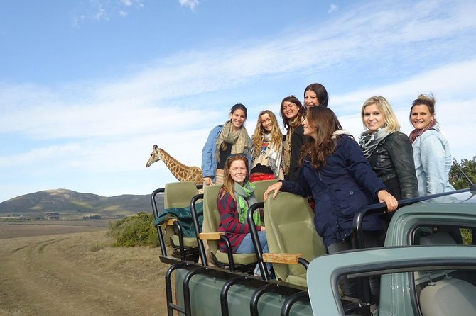3 Day Wildlife Safari Tour - Garden Route Small Group Tour from Cape Town - Why this 3-day route is such a smart Cape Town escape