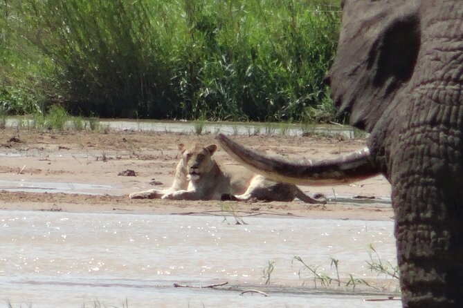 3 Days Durban Safari Tour Package - Key highlights that make this tour click