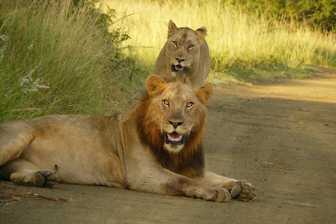 3 Days Durban Safari Tour Package - Why Durban is a smart launch point for Hluhluwe iMfolozi