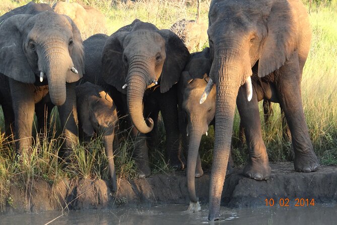 3 Days Durban Safari Tour Package - Who should book this Durban safari, and who should rethink it