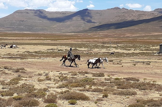 3 days Lesotho Private Tour, Sani Pass and Maletsunyana Falls - Guide quality you can feel: Greg’s driving and Angie’s planning