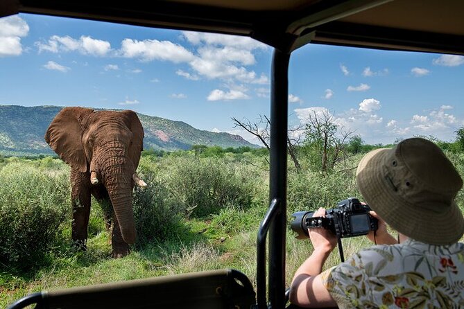 3-Hour Private Game Drive in Pilanesberg National Park - Key Points to Know Before You Go