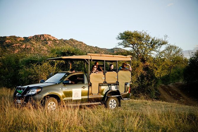 3-Hour Private Game Drive in Pilanesberg National Park - Value Check: Price, What’s Included, and What’s Not