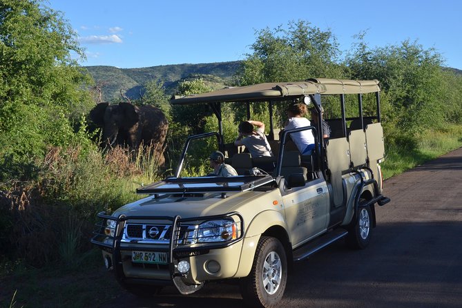 3-Hour Private Game Drive of Pilanesberg National Park - Hotel pickup and starting point around Sun City