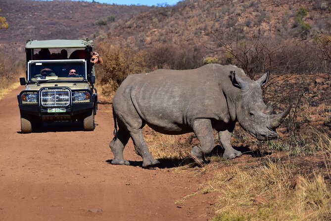 3-Hour Private Game Drive of Pilanesberg National Park - Big Five sightings: how your guide turns a drive into a hunt