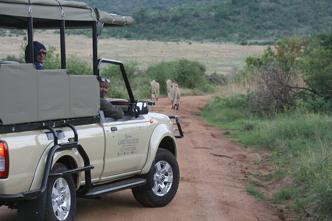3-Hour Private Game Drive of Pilanesberg National Park - Water, what to bring, and what’s covered