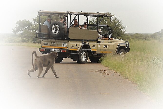 3 Night & 4 Day Private Kruger Park Safari - Key Highlights You’ll Actually Feel