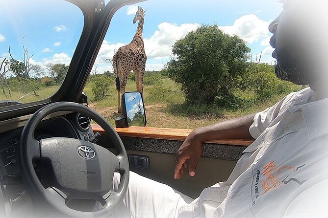3 Night & 4 Day Private Kruger Park Safari - Private Kruger Park Safari: Why the Crowds Don’t Get a Vote