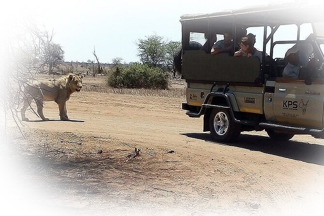 3 Night & 4 Day Private Kruger Park Safari - Day 4: Sunrise Game Drive, Mid-Morning Chance, Then You’re On Your Way Out