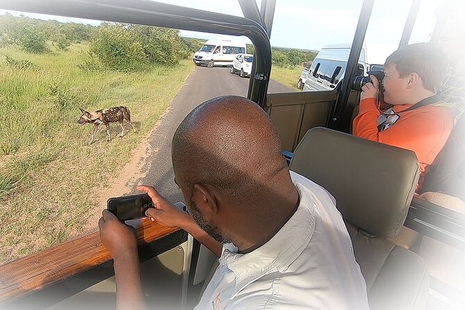 3 Night & 4 Day Private Kruger Park Safari - Big Five Chances: How This Trip Sets You Up (And What to Expect Realistically)