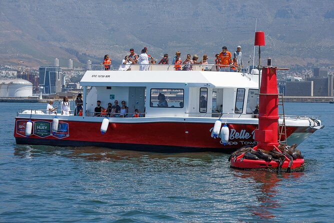 30min Harbour Boat Cruise Cape Town - A Short Harbour Cruise With Big Views and Zero Fuss