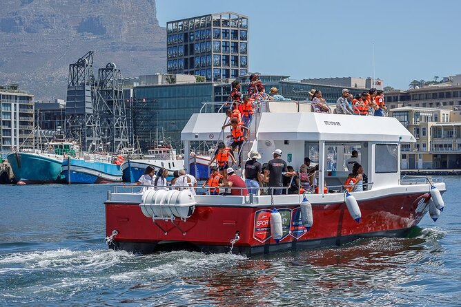 30min Harbour Boat Cruise Cape Town - 30 Minutes On the Water: What You’ll Actually See