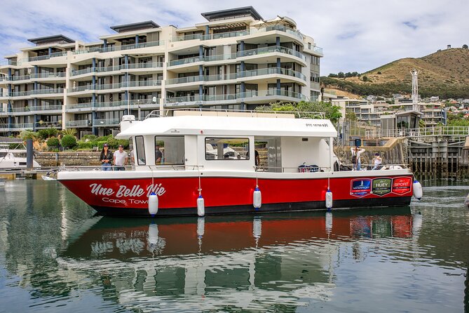 30min Harbour Boat Cruise Cape Town - Who This Cape Town Harbour Cruise Is Best For