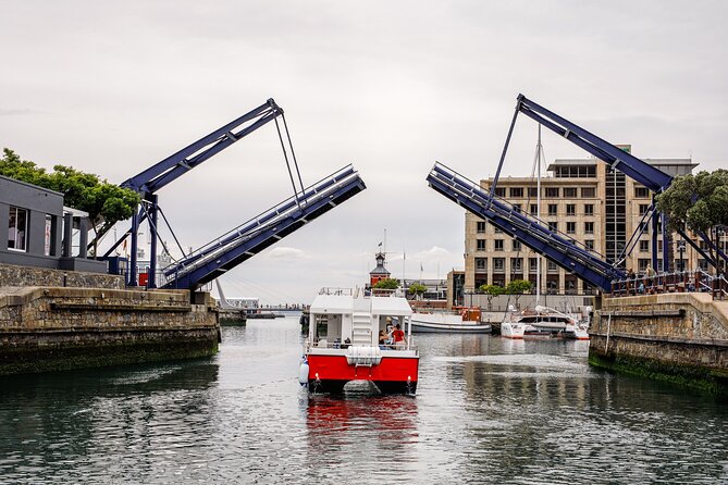 30min Harbour Boat Cruise Cape Town - The Main Tradeoffs to Consider