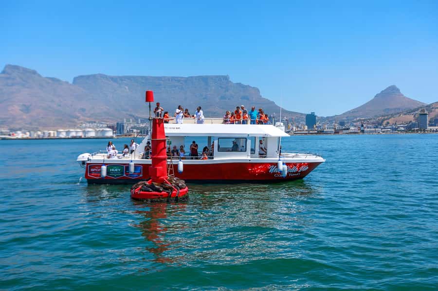 30min V&A Waterfront Harbour Cruise Cape Town - Quick Notes Before You Board
