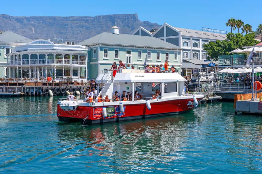 30min V&A Waterfront Harbour Cruise Cape Town - What Makes a 30-Minute V&A Waterfront Cruise Worth Your Time