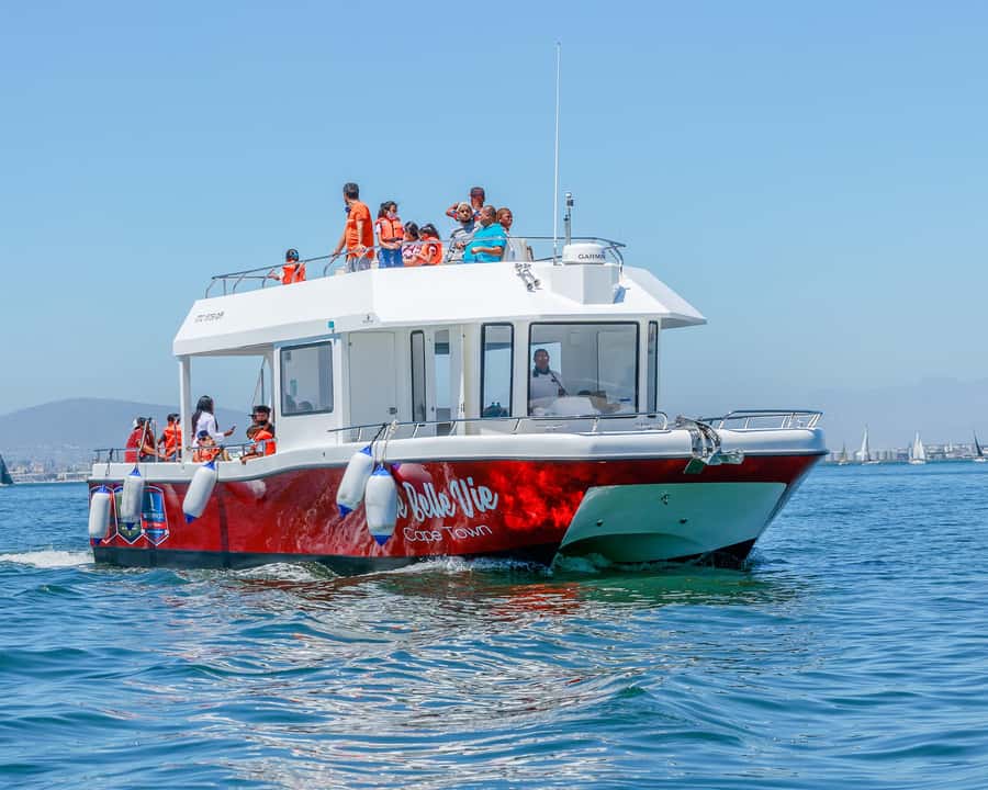 30min V&A Waterfront Harbour Cruise Cape Town - Where You Meet the Boat (and Why the Exact Spot Helps)