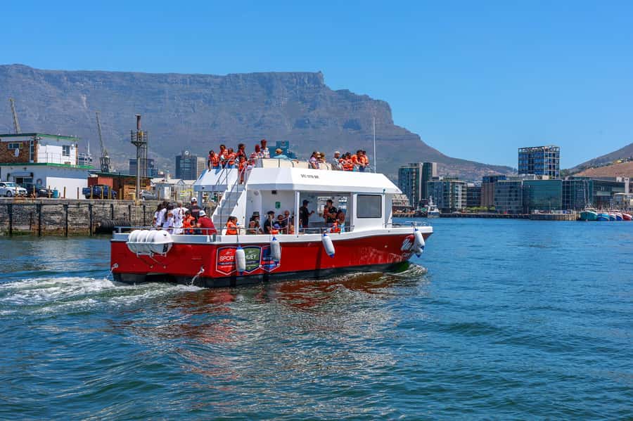 30min V&A Waterfront Harbour Cruise Cape Town - Cruising the V&A Waterfront Harbour: Views Plus Possible Wildlife