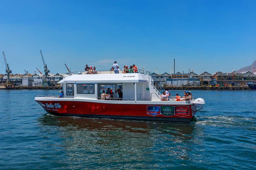 30min V&A Waterfront Harbour Cruise Cape Town - Price and Value: Why Around $9 Makes Sense Here