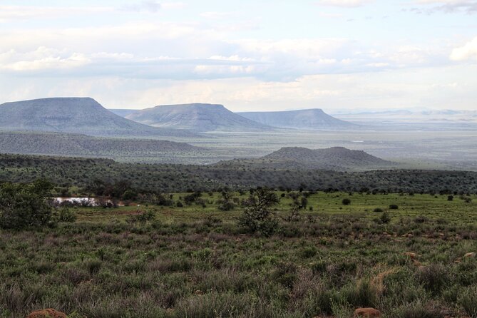 4 Day Addo to Karoo Safari - Day 4: Owl House quirk, then Camdeboo’s Valley of Desolation