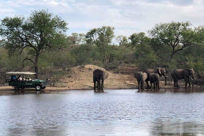 4 Day Budget Kruger National Park Safari - Day 2 Balule bush walk on the Olifants River, plus a game drive back at camp