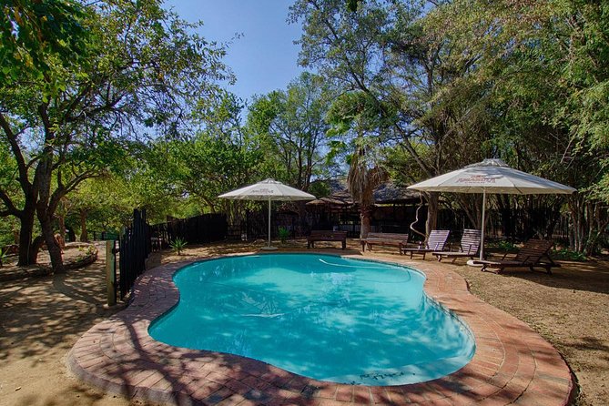 4 Day Budget Kruger National Park Safari - Day 3 in Kruger near Orpen: a full day of birding and game viewing