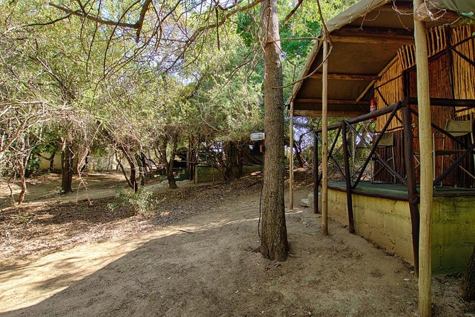 4 Day Budget Kruger National Park Safari - Day 4 at Marc’s Camp and Blyde River Canyon’s Three Rondawels