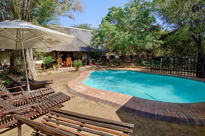 4 Day Budget Kruger National Park Safari - Marc’s Camp canvas tents: cool wildlife soundtracks, basic comfort, and shared facilities