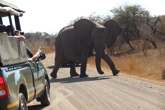 4 Day Classic Kruger National Park Safari - Orpen Gate To Satara and Nwanedzi: The Long Open-Vehicle Kruger Day