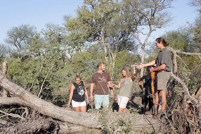 4 Day Classic Kruger National Park Safari - Last Morning in Balule, Then Three Rondawels and Blyde River Canyon