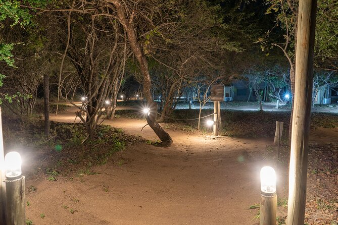 4 Day Dumela Tented Camp at Kruger National Park - Day 2 in Orpen-Satara: Full-Day Kruger With Better Lion Odds