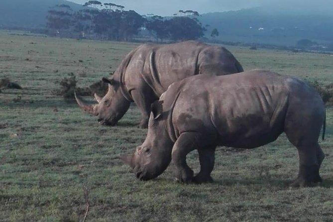 4 Day Garden Route Adventure & Safari - Why this 4-day Garden Route mix makes sense