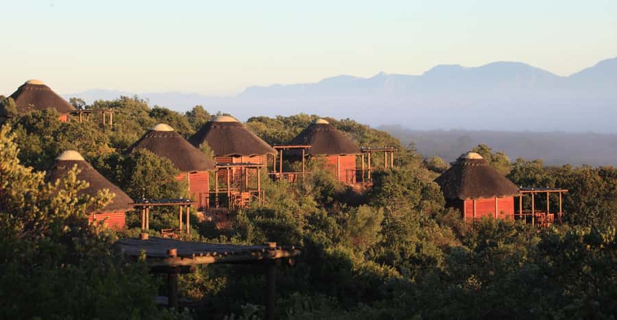 4-Day Garden Route Experience - A realistic read on the pace