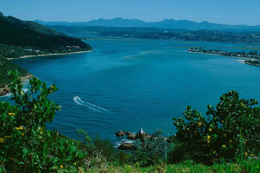 4-Day Garden Route Experience - Day 2: Ostrich farm, Knysna heads, and options for elephants and ocean life