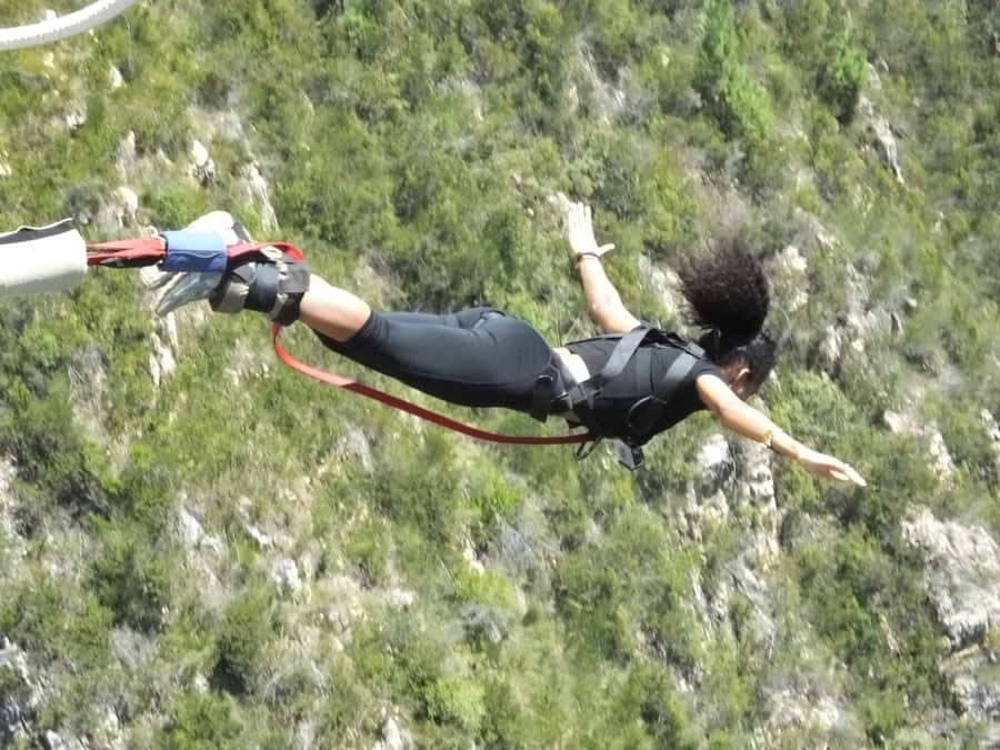 4-Day Garden Route Experience - Day 4: Early game drive, Hermanus whales, and Stony Point penguins