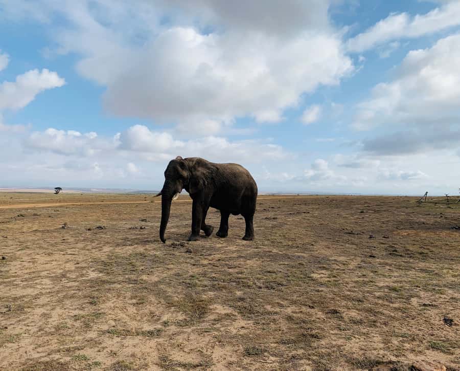 4-Day Garden Route Experience - The guides and group dynamic matter more than you think