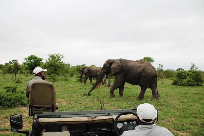 4 Day Greater Kruger National Park Adventure Safari - Key things I’d circle on the map