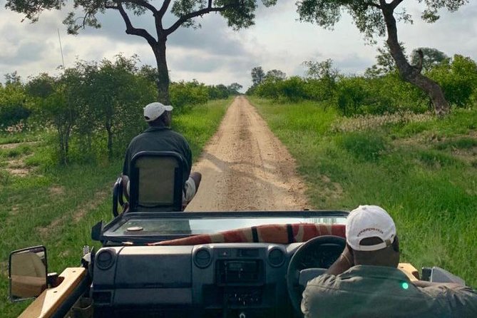 4 Day Greater Kruger National Park Adventure Safari - Logistics that matter: airport pickup, mobile tickets, and an early 6:30 start