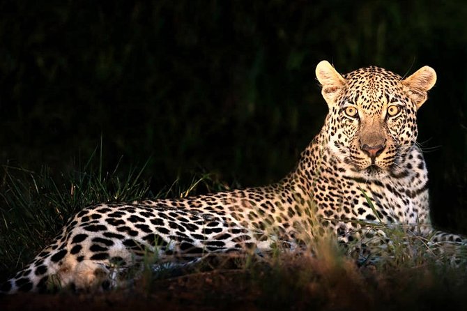 4 Day Kruger National Park and Panorama Route Safari - Why This Kruger and Panorama Combo Works So Well