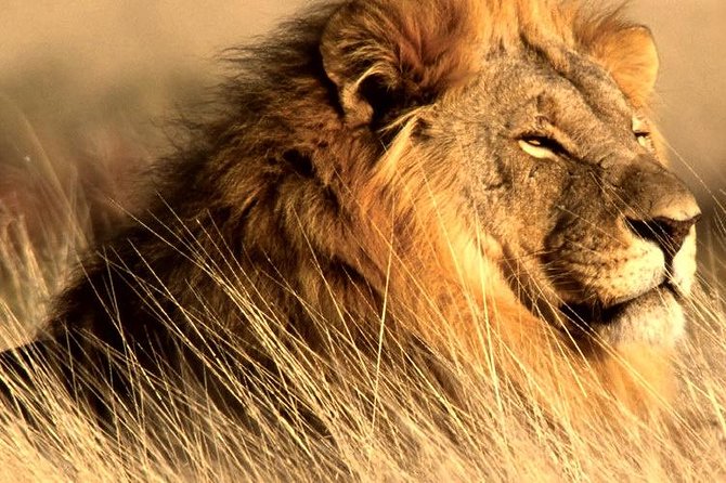 4 Day Kruger National Park and Panorama Route Safari - Lodging and Meals: Comfortable, Air-Conditioned, Not Luxury